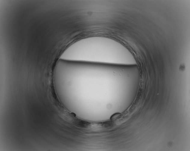 X0000103330413200809051027