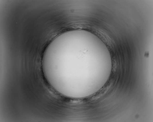 X0000103330414200809051026