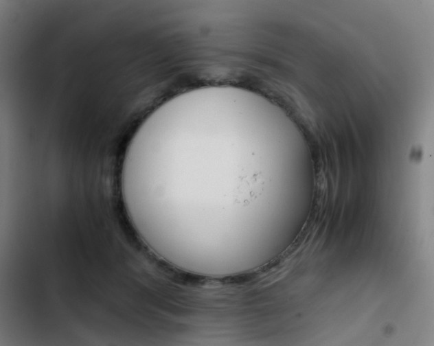 X0000103330416200809051026