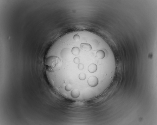 X0000103330418200809051026