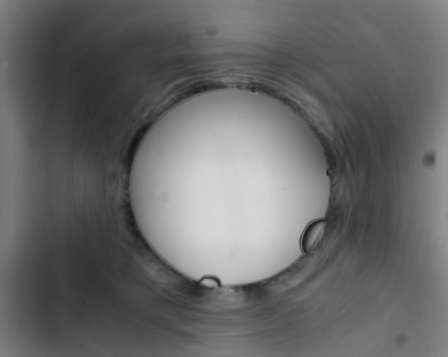 X0000103330421200809051026