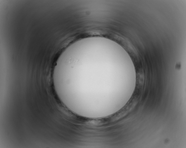 X0000103330422200809051026