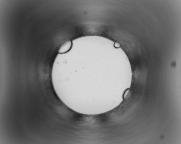 X0000103330423200809051026