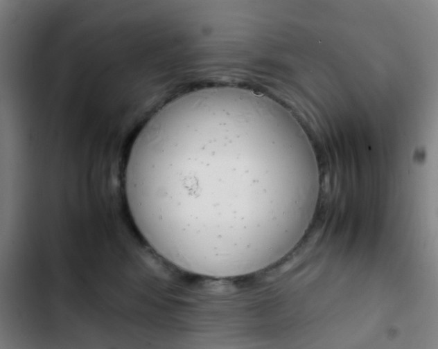 X0000103330424200809051026