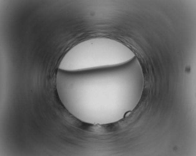 X0000103330425200809051026
