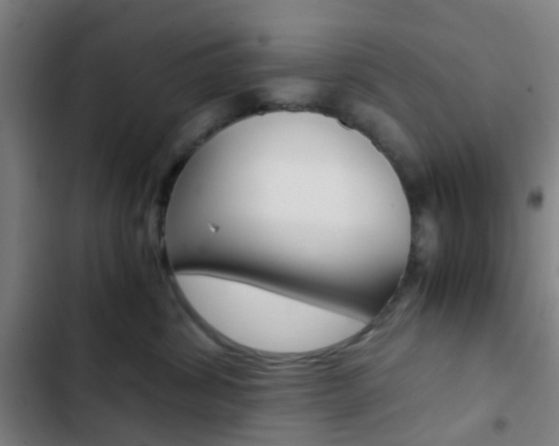 X0000103330428200809051026