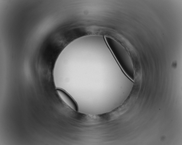 X0000103330429200809051026