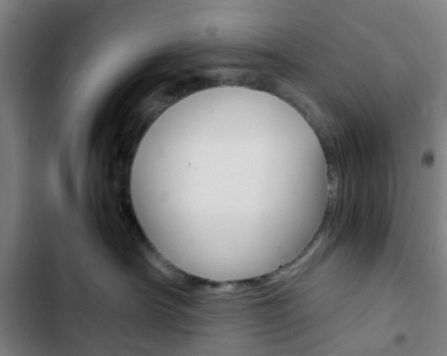 X0000103330430200809051026