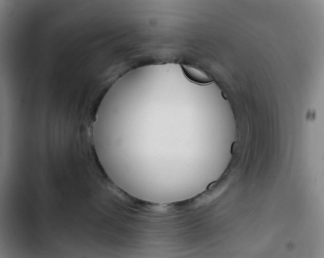 X0000103330432200809051026