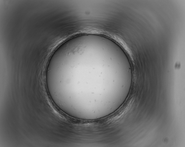 X0000103330433200809051025