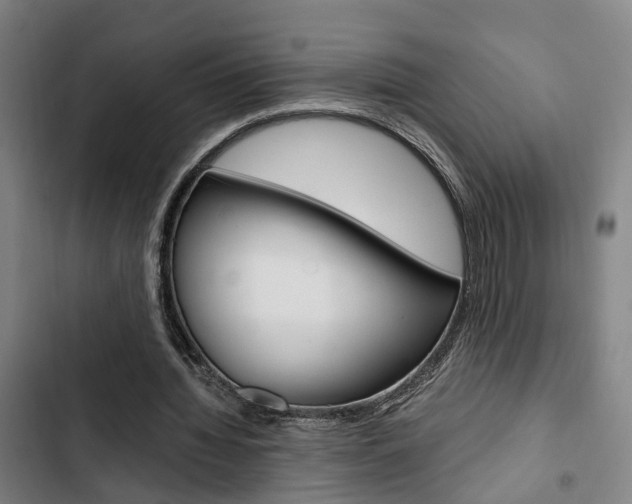 X0000103330436200809051026