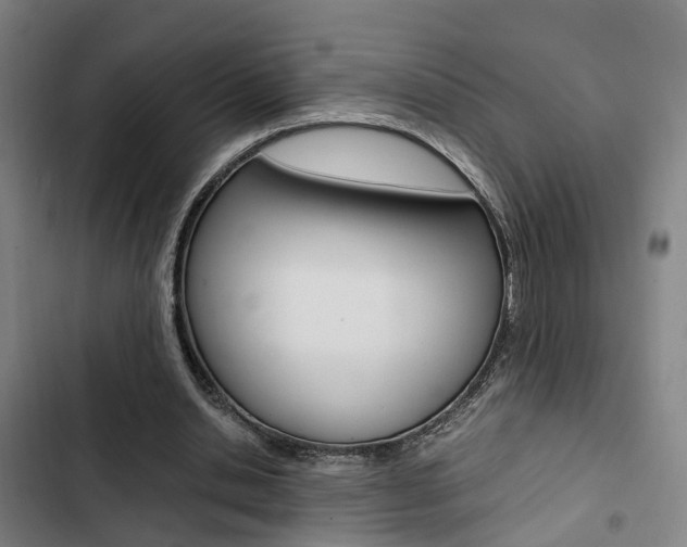 X0000103330438200809051026
