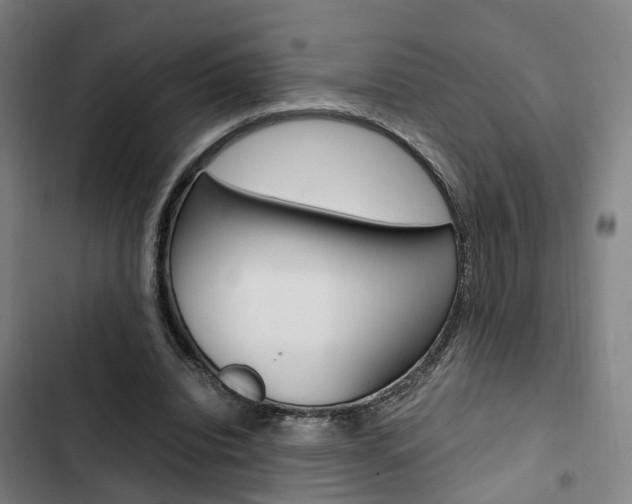 X0000103330440200809051026