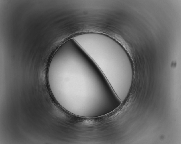 X0000103330441200809051026