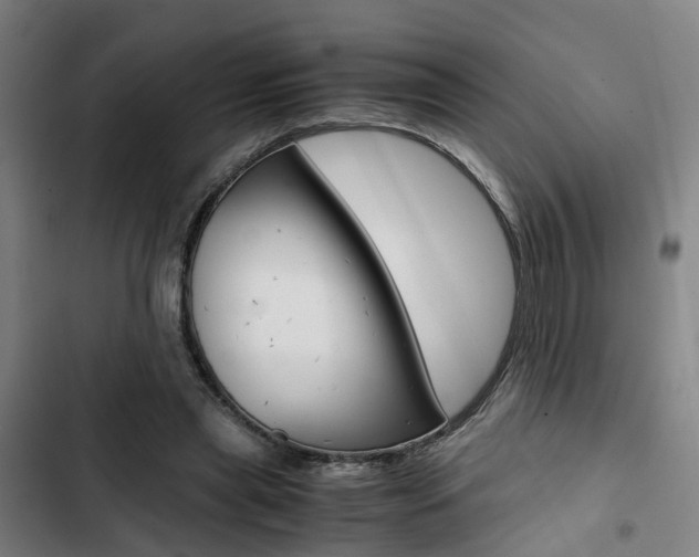 X0000103330445200809051026
