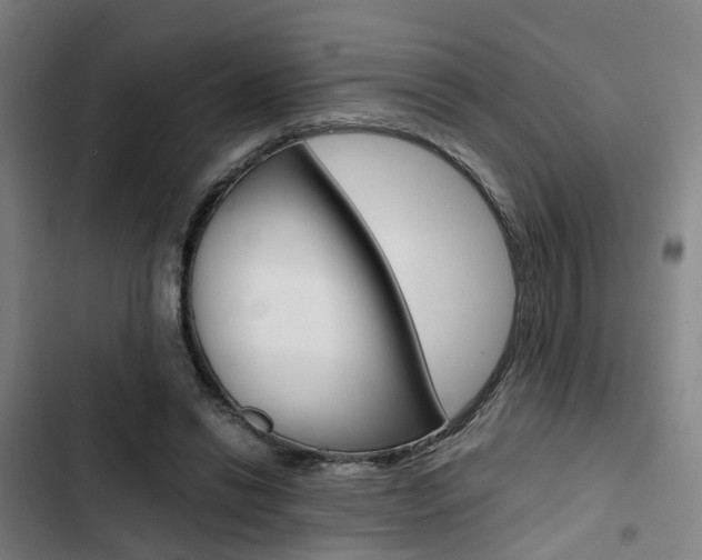 X0000103330446200809051026