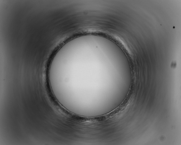 X0000103330447200809051026