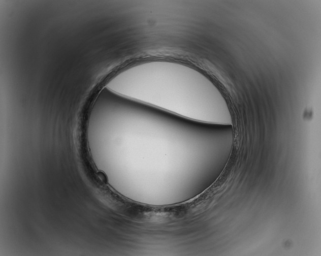 X0000103330448200809051026