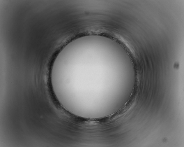 X0000103330451200809051026