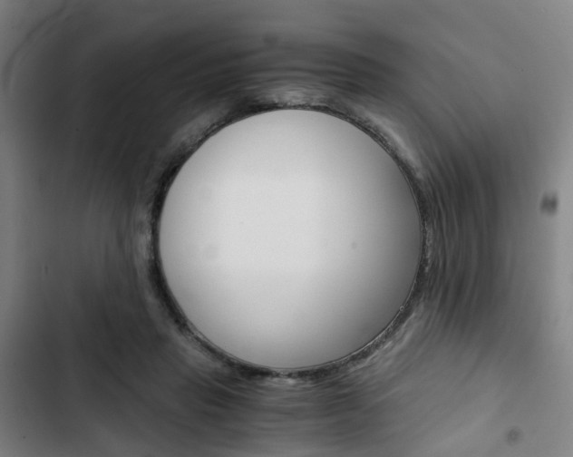 X0000103330453200809051026