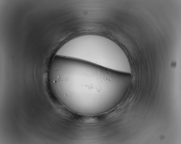 X0000103330456200809051026