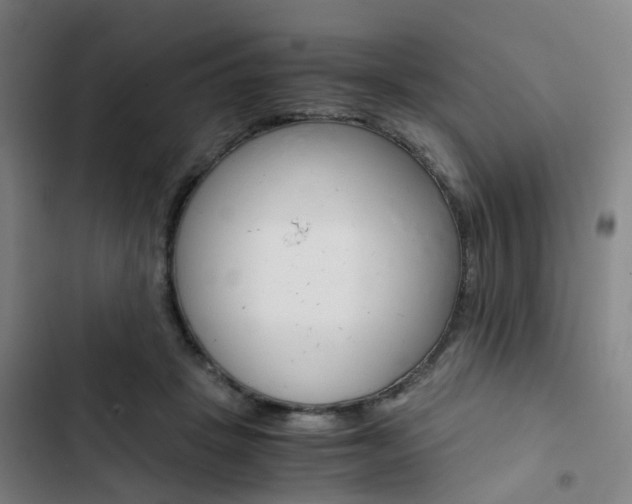 X0000103330457200809051026