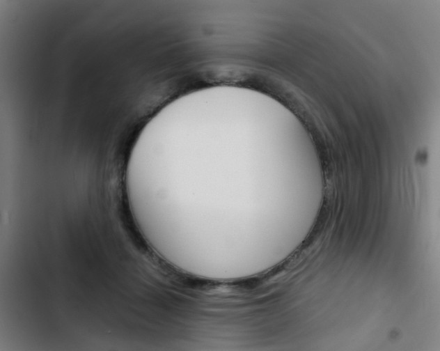 X0000103330460200809051026