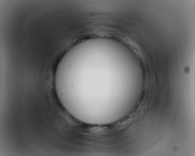 X0000103330465200809051026