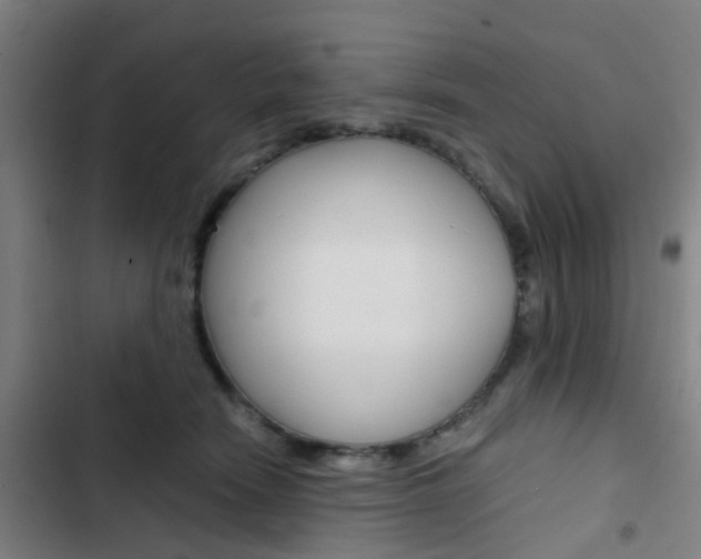 X0000103330466200809051026