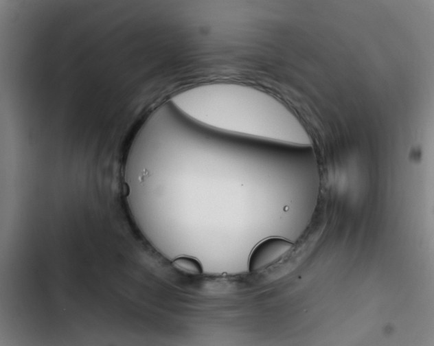 X0000103330470200809051026