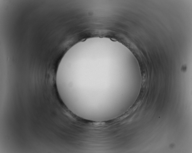 X0000103330474200809051026