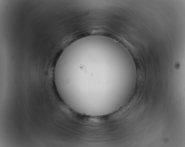 X0000103330475200809051026