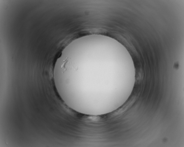 X0000103330478200809051026