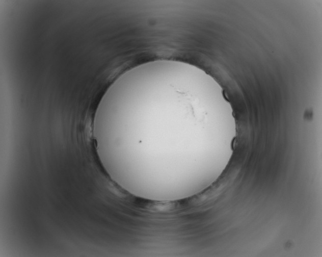 X0000103330479200809051026