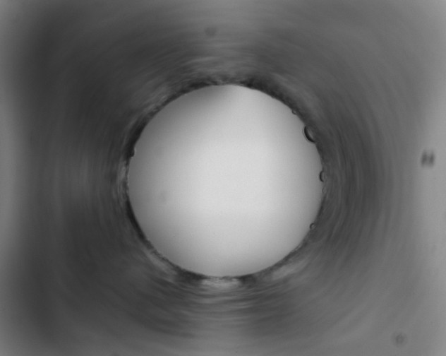 X0000103330480200809051026