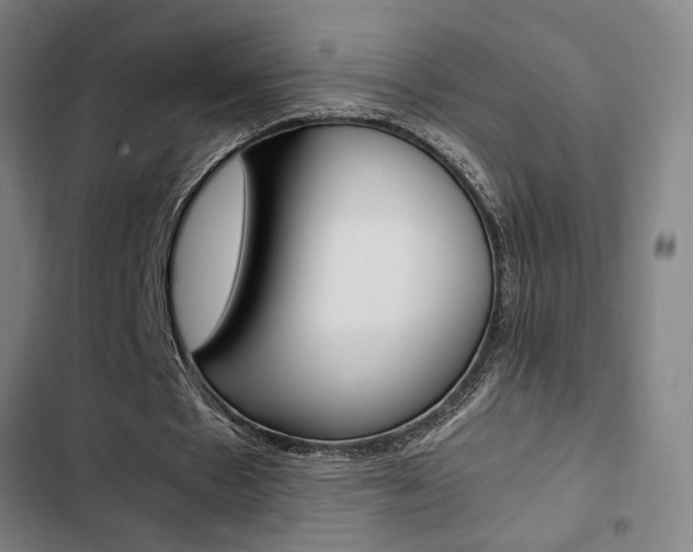 X0000103330481200809051025