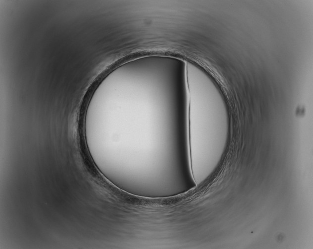 X0000103330483200809051025