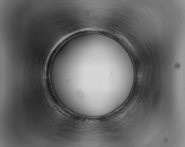 X0000103330484200809051025