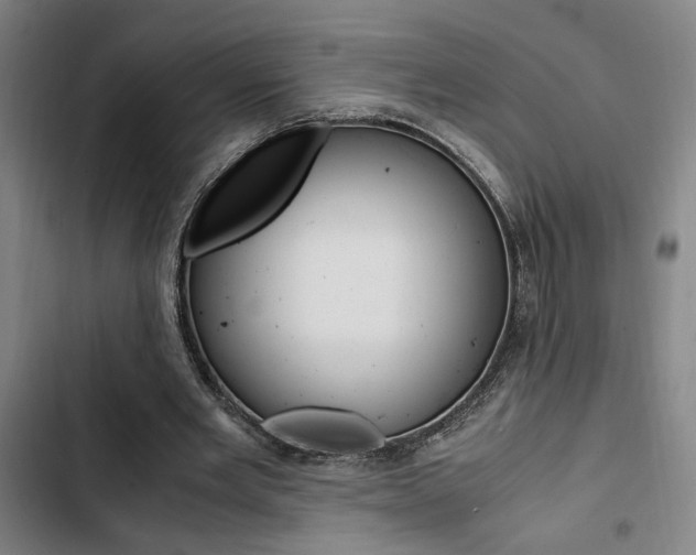 X0000103330485200809051025