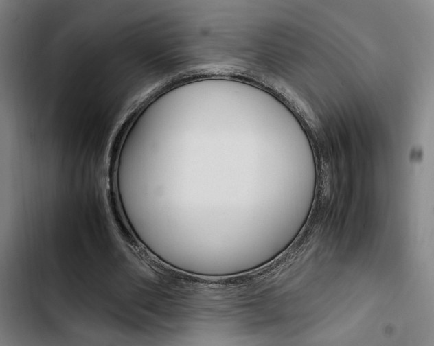 X0000103330486200809051025