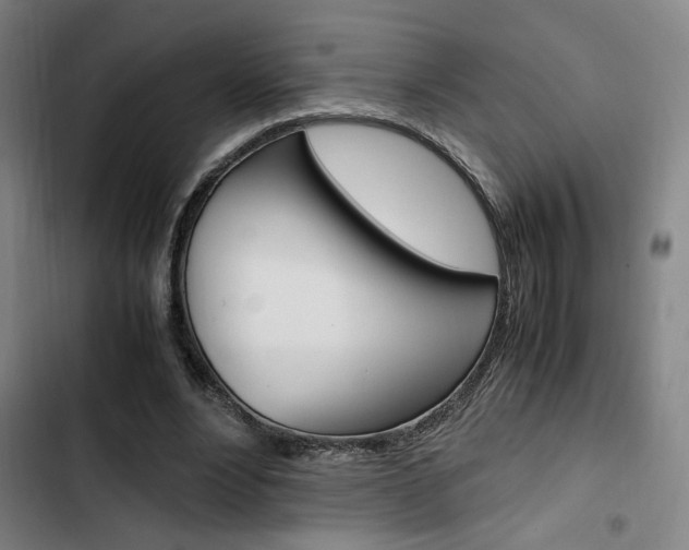 X0000103330488200809051025