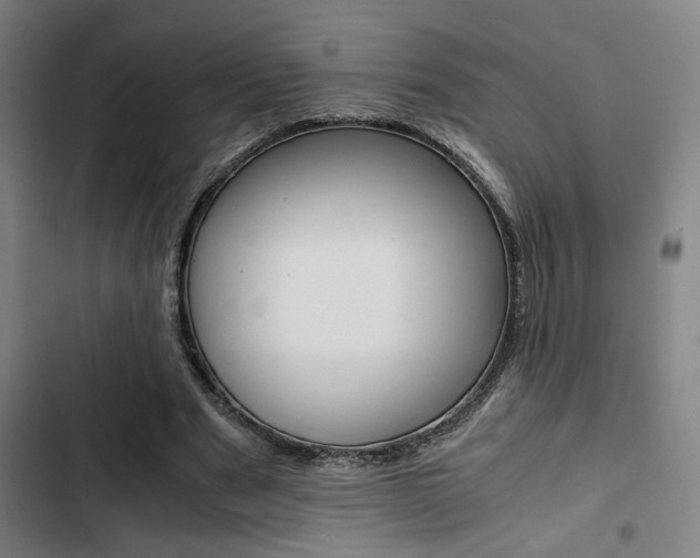 X0000103330489200809051025