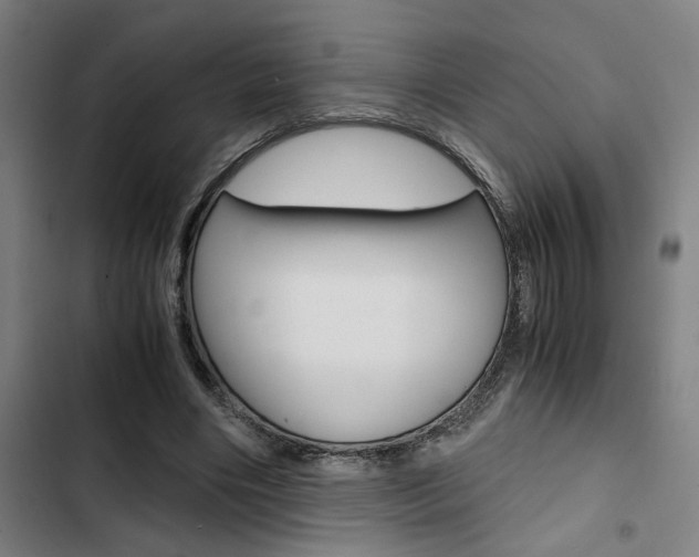 X0000103330490200809051025