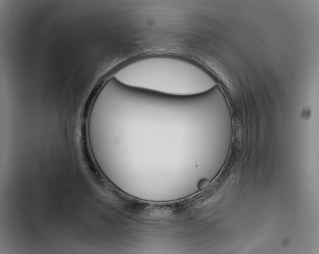 X0000103330491200809051025