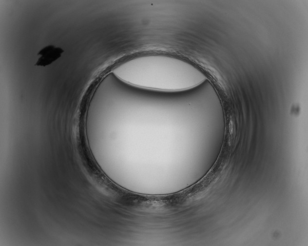 X0000103330492200809051025