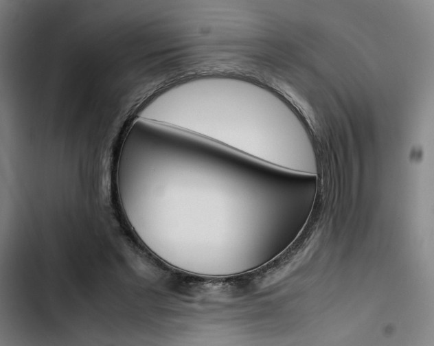 X0000103330493200809051025