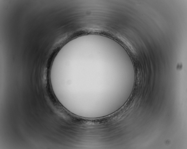 X0000103330494200809051025