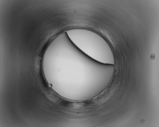 X0000103330495200809051025