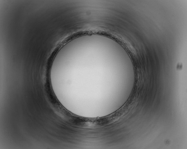 X0000103330496200809051025