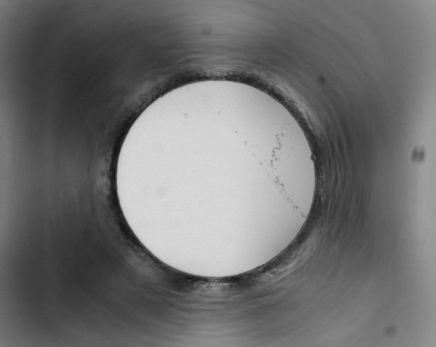 X0000103330497200809051025